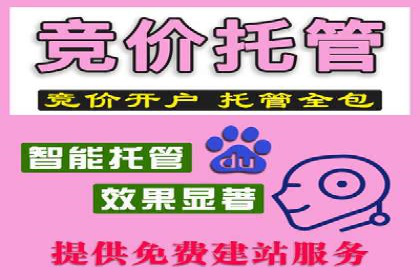 百度推广案例：品牌快速崛起的秘密